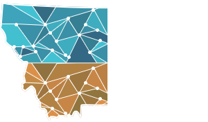 LMI Services